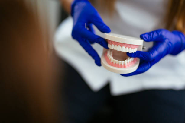 Best Dental Inlays and Onlays  in Shepherd, MI